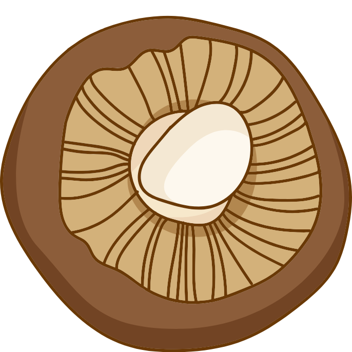 globe-img